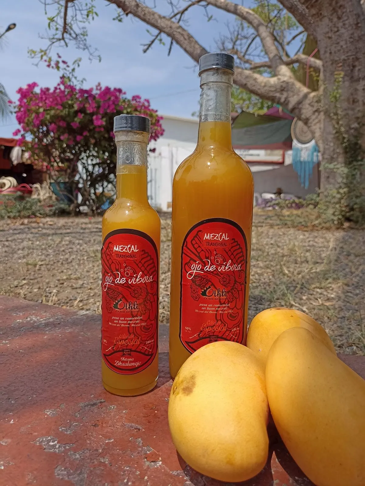 Mezcal sabor Mango